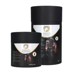 Excellent Equi Mobility Plus