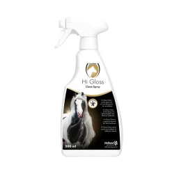 Excellent Hi Gloss Clean Spray