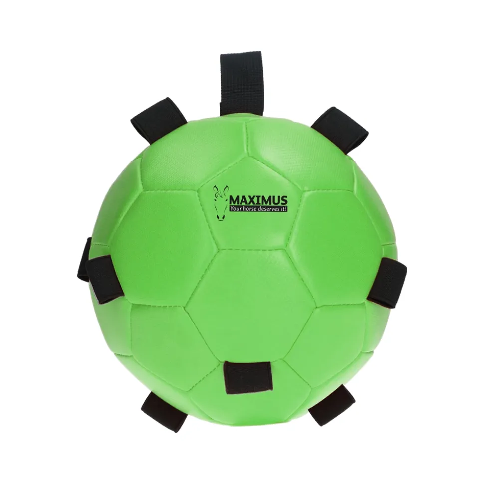 Excellent Horse Fun Play Ball