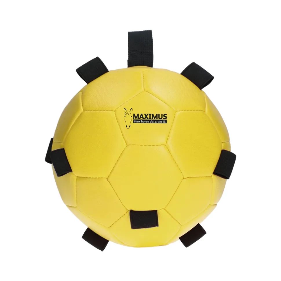 Excellent Horse Fun Play Ball