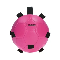 Excellent Horse Fun Play Ball