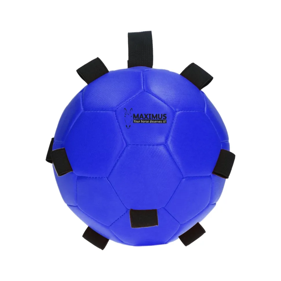 Excellent Horse Fun Play Ball
