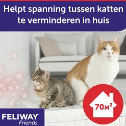 Feliway Friends