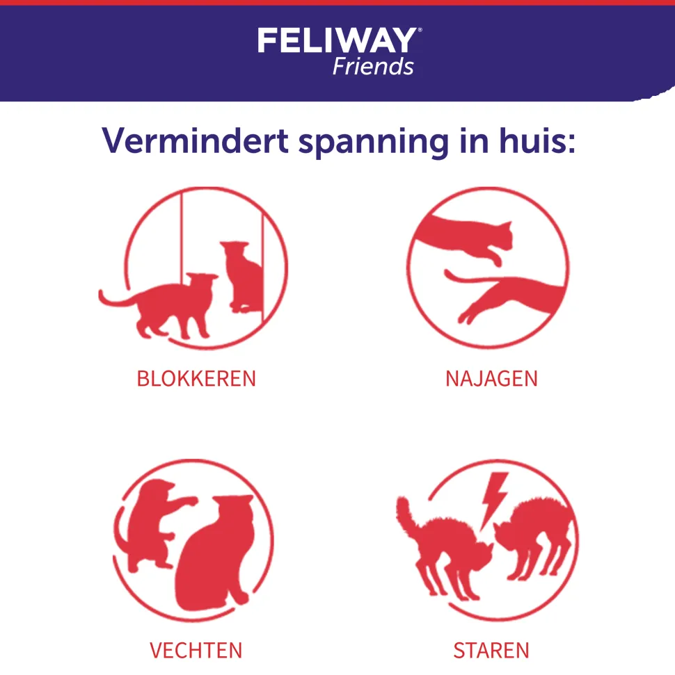 Feliway Friends