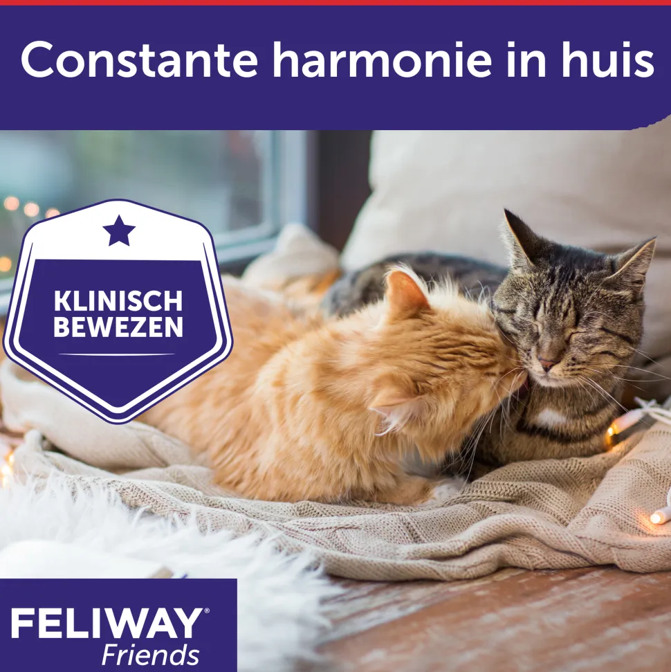 Feliway Friends
