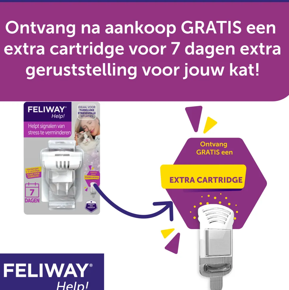 Feliway Help!
