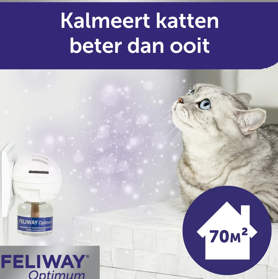 Feliway Optimum