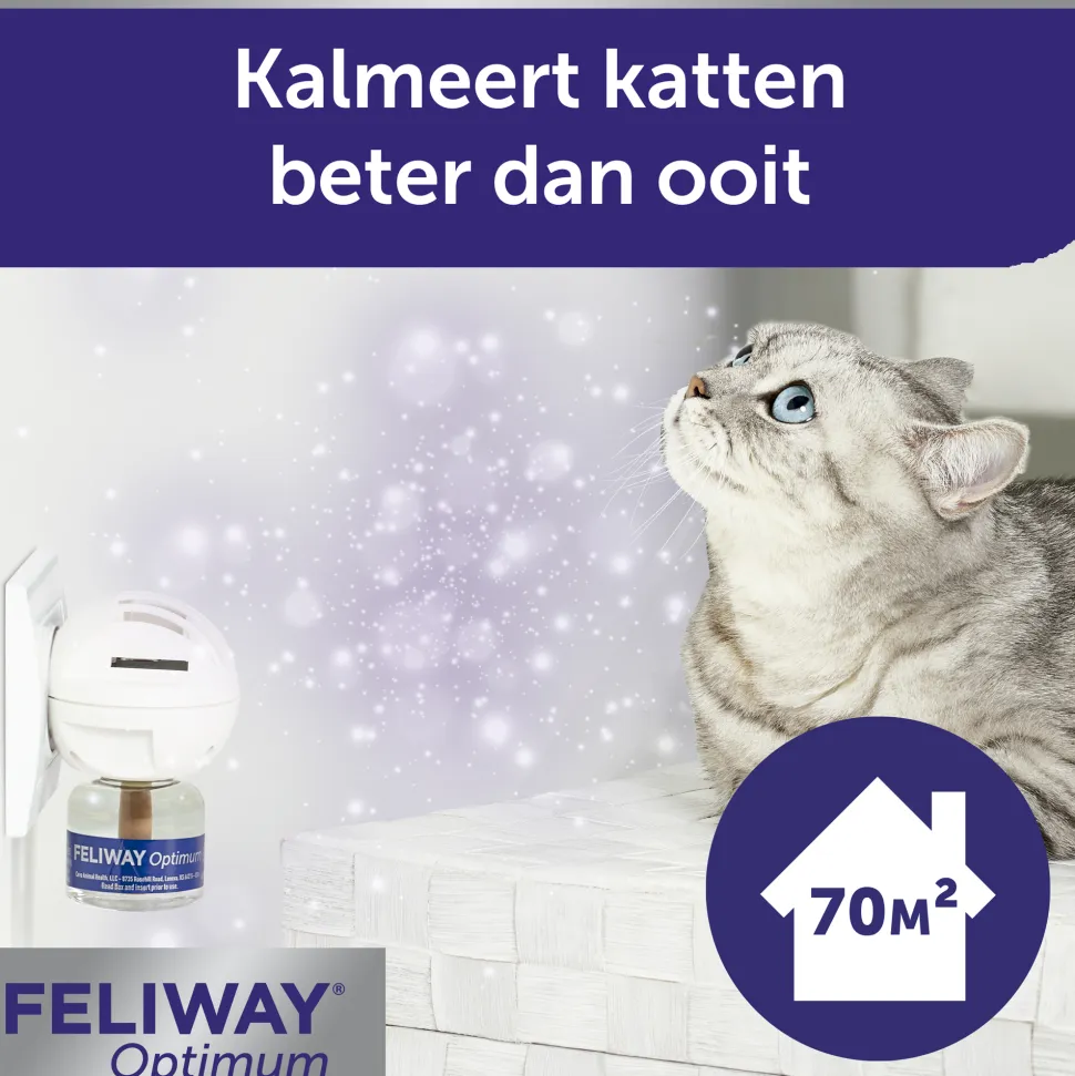 Feliway Optimum