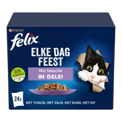 Felix Elke Dag Feest