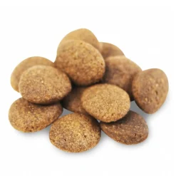 Fish4Dogs Finest Adult Complete - Witvis Grote Brok