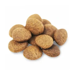Fish4Dogs Finest Adult Complete - Zalm Grote Brok
