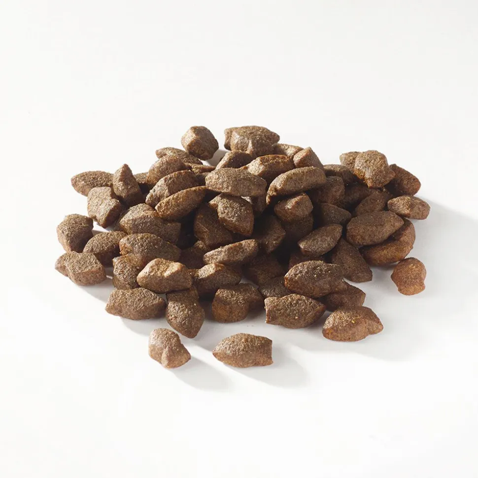 Fish4Dogs Support+ Puppy Salmon Mini Morsels