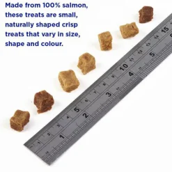 Fish4Dogs Training Adult Salmon Bites Hondensnacks