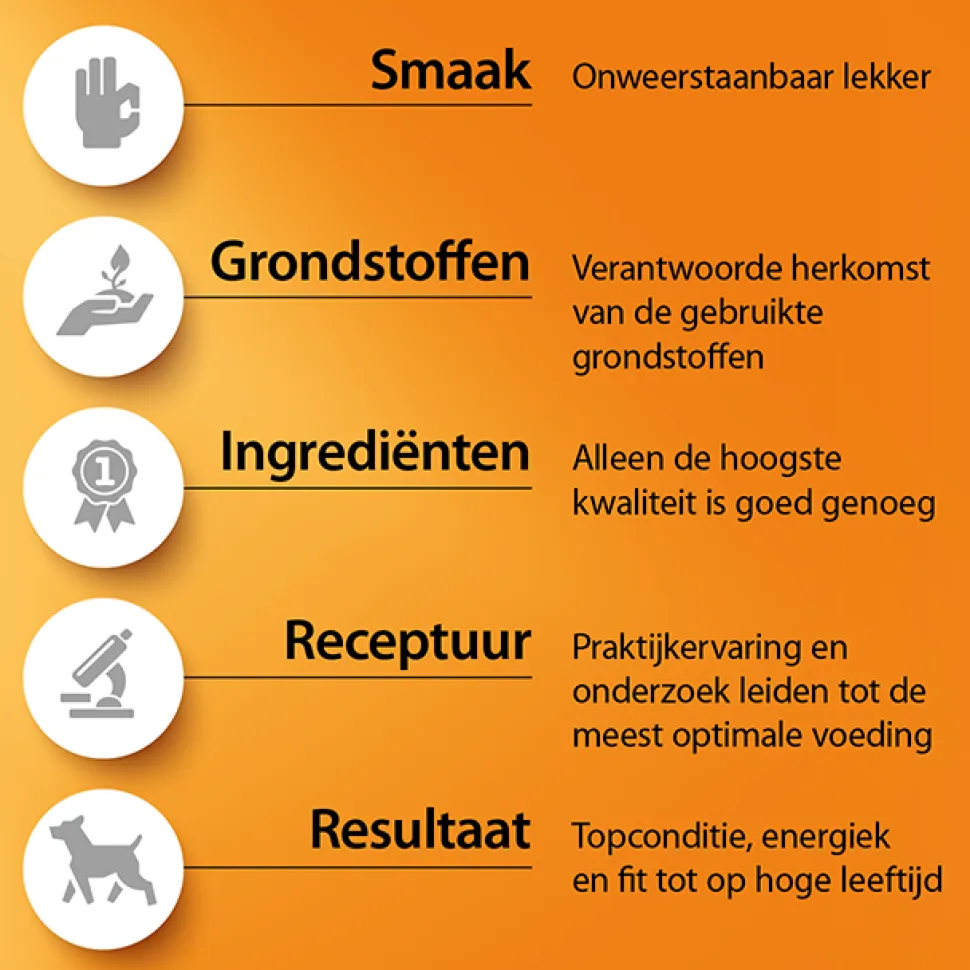 Fokker Dog Country NoGrain
