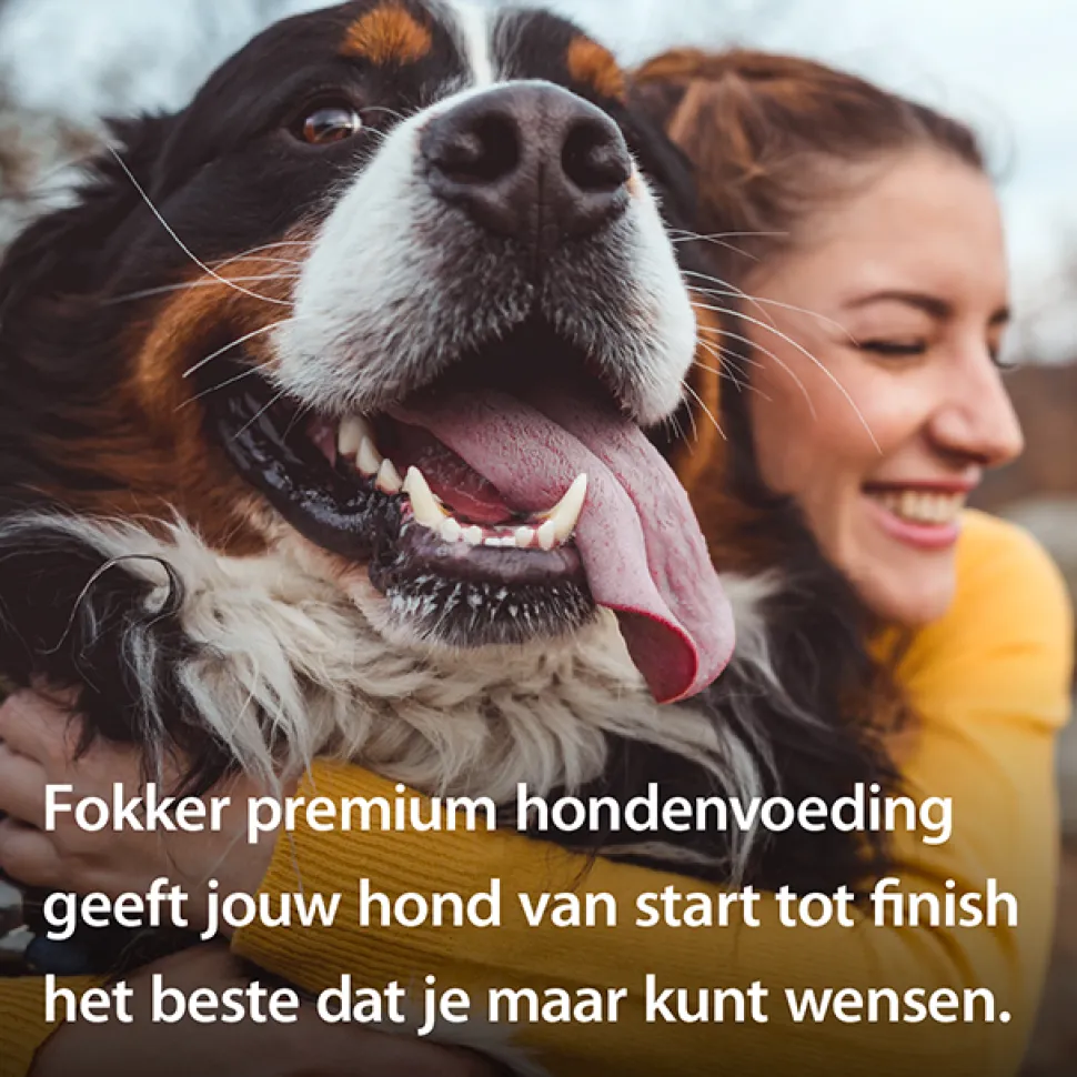 Fokker Dog Regular K9