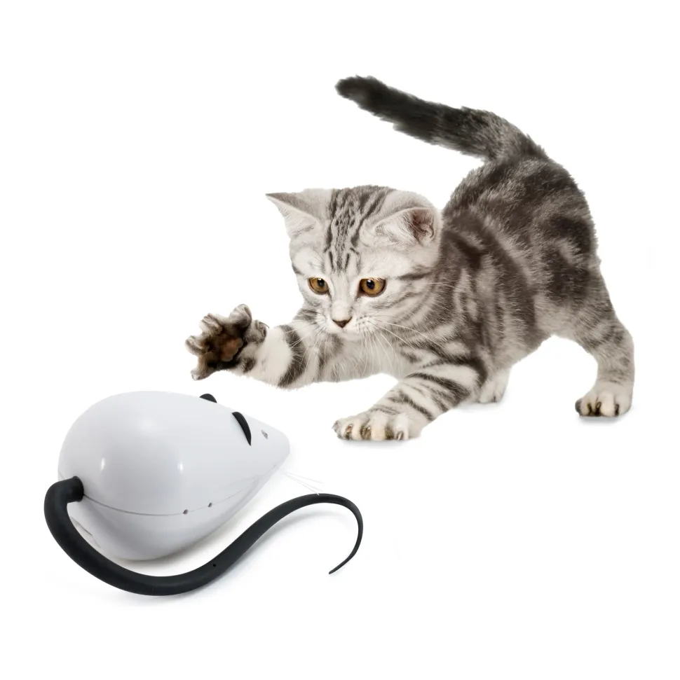 FroliCat RoloRat