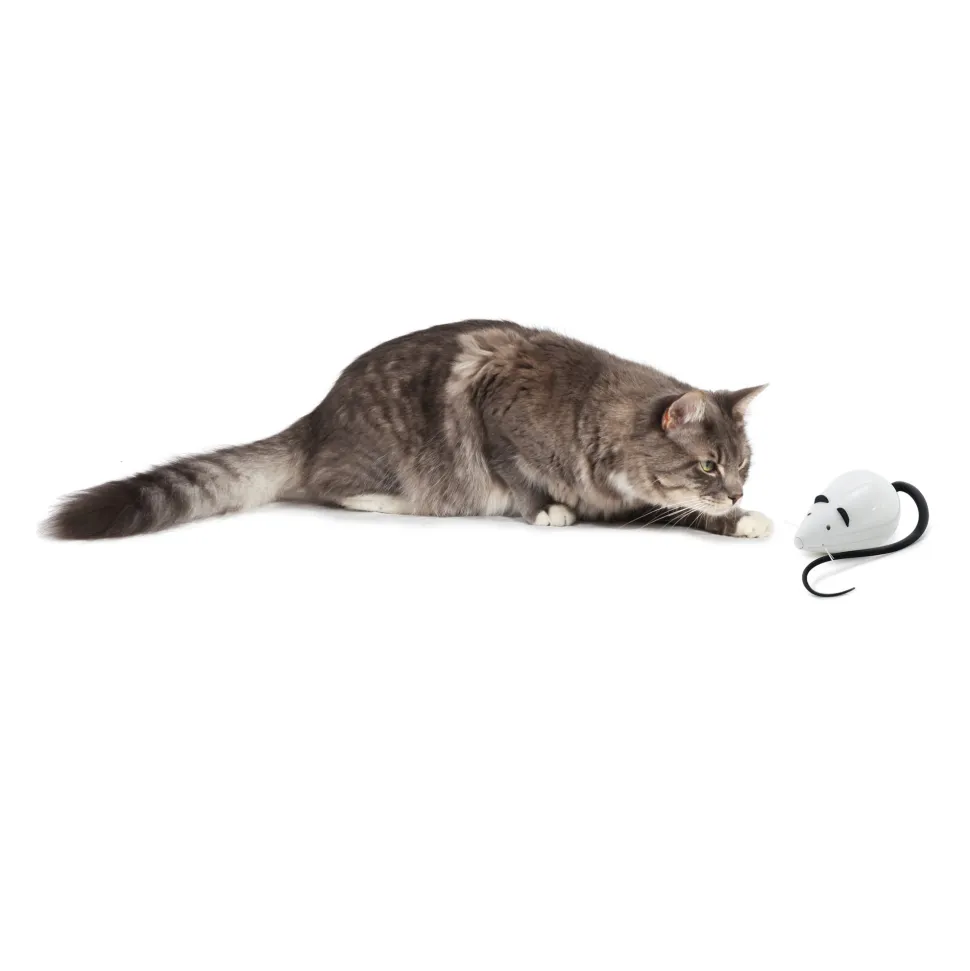 FroliCat RoloRat