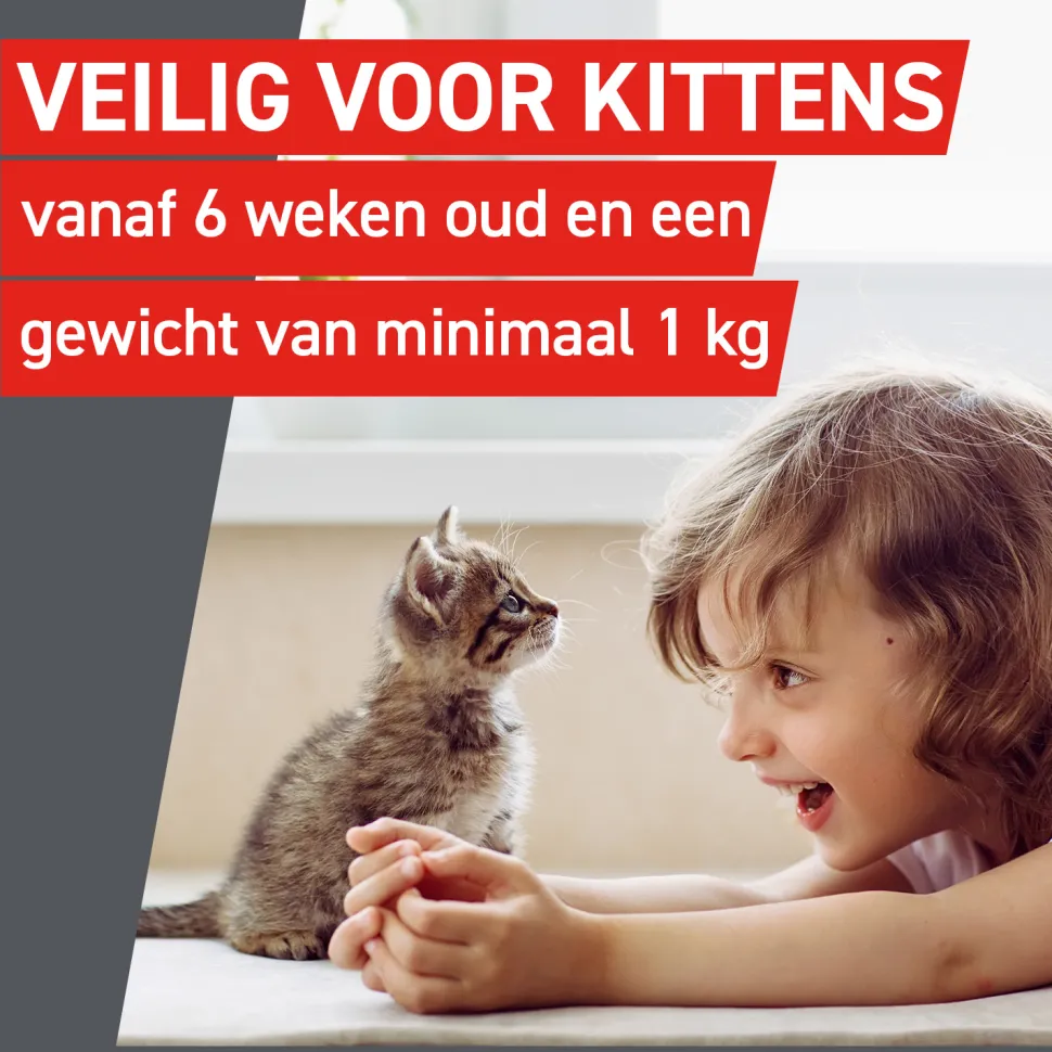 Frontcontrol Wormer Kat