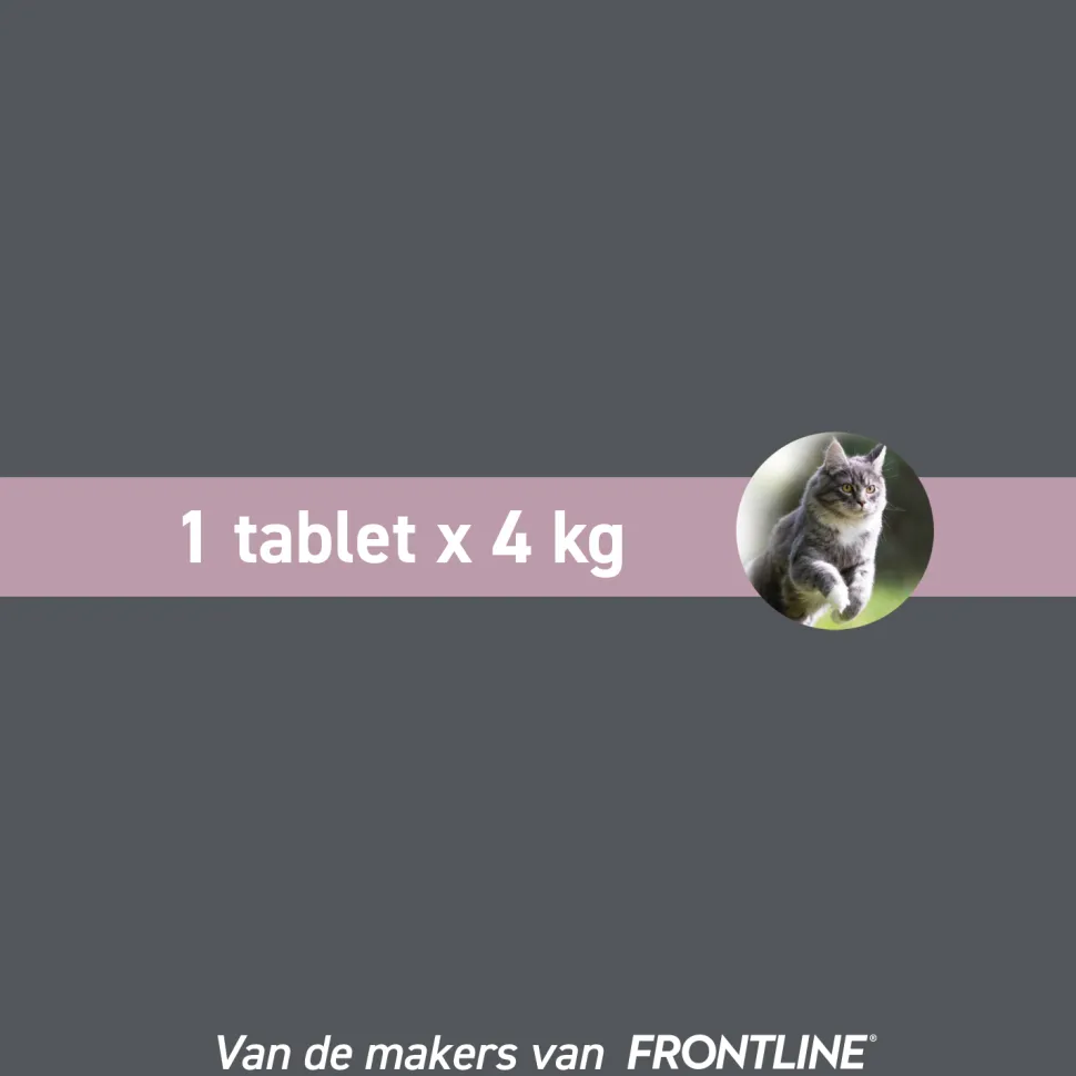 Frontcontrol Wormer Kat
