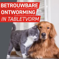 Frontcontrol Wormer Kat