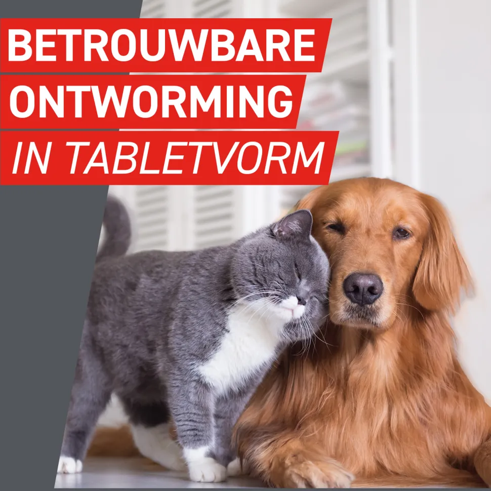 Frontcontrol Wormer Kat