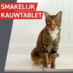 Frontcontrol Wormer Kat
