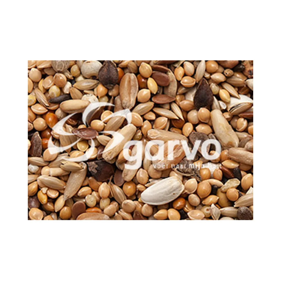 Garvo Agapornidenzaad
