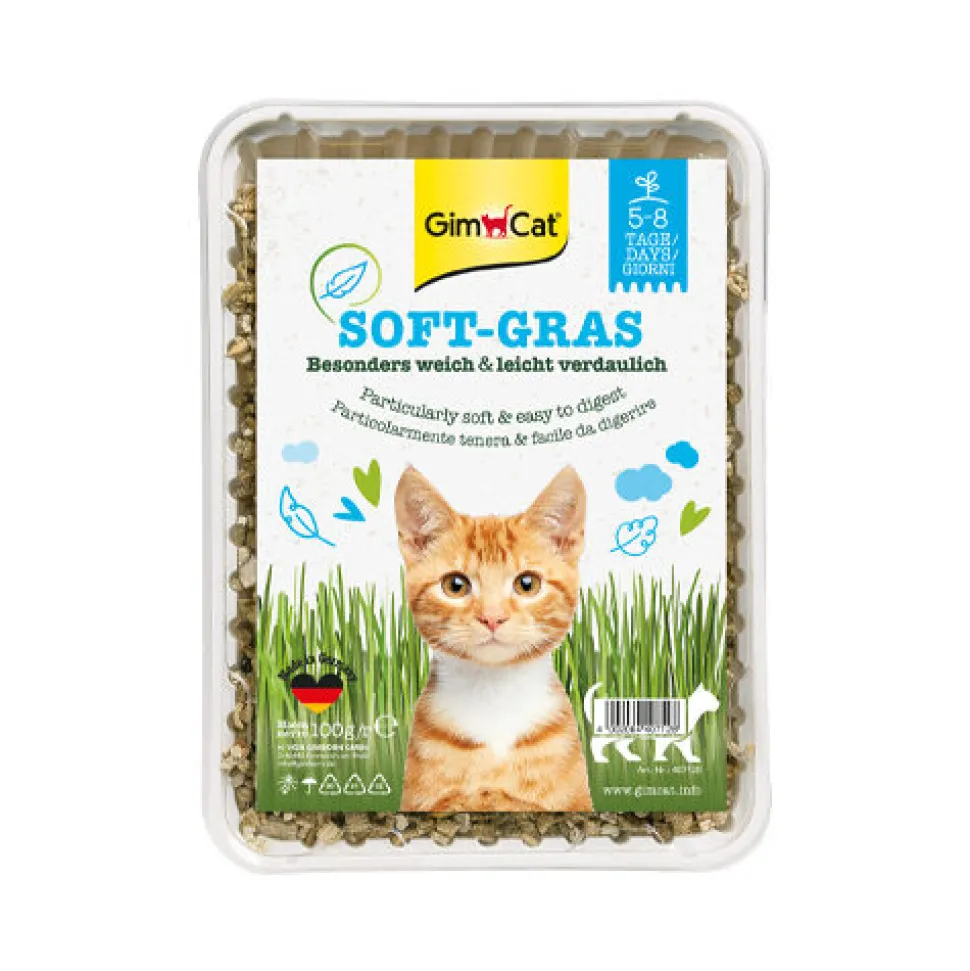 GimCat Kattengras