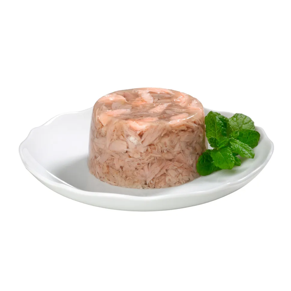 GimCat ShinyCat Filets in Jelly