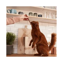 GimCat Sticks