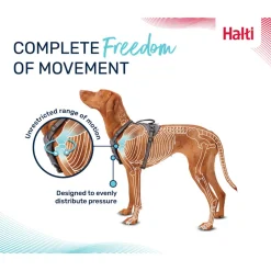 Halti Anatomy Harness