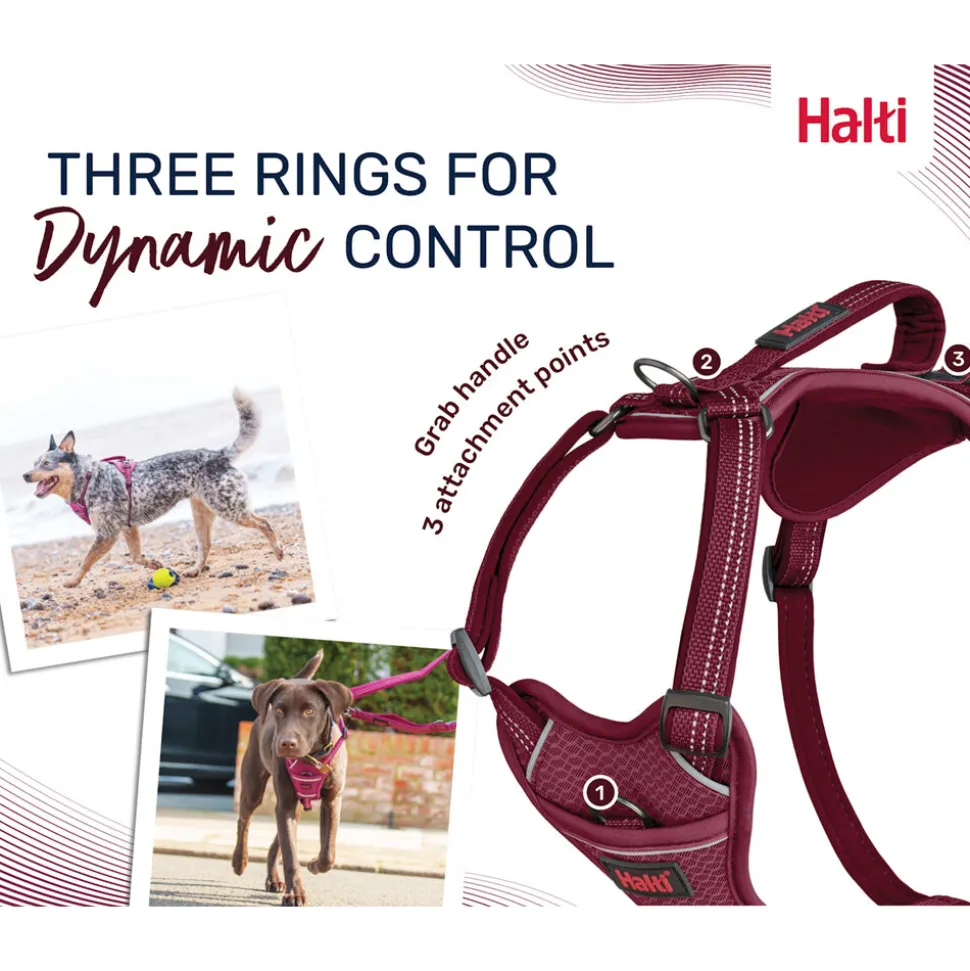 Halti Anatomy Harness