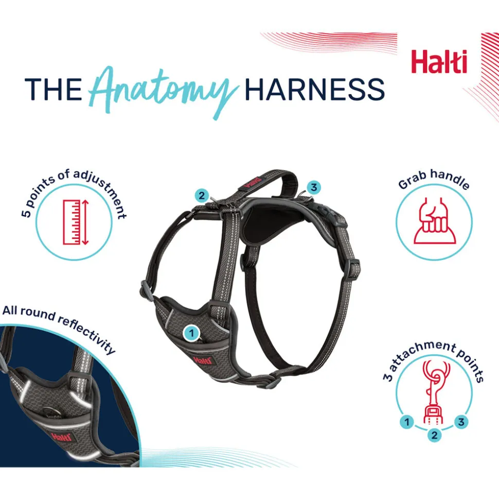Halti Anatomy Harness
