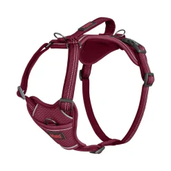 Halti Anatomy Harness