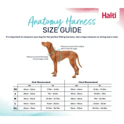 Halti Anatomy Harness