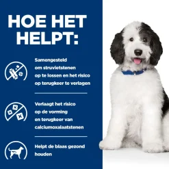Hill's c/d Urinary Care - Prescription Diet - Canine