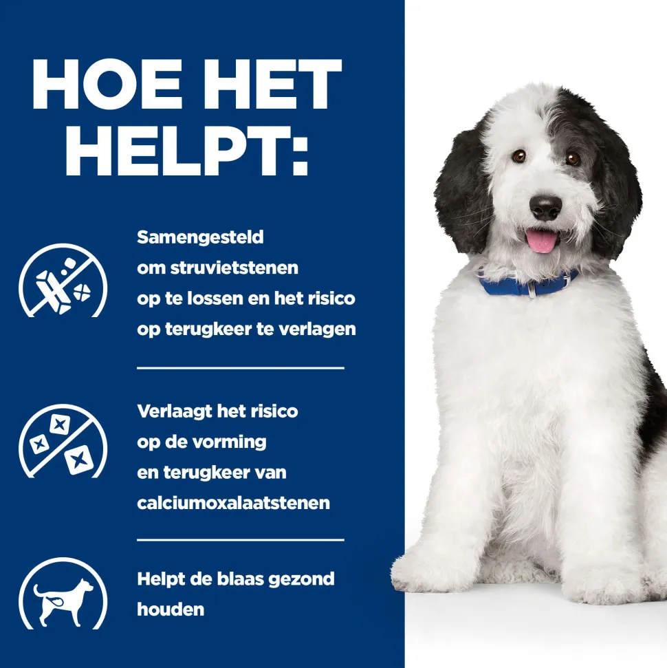 Hill's c/d Urinary Care - Prescription Diet - Canine