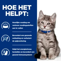 Hill's i/d Digestive Care - Prescription Diet - Kitten