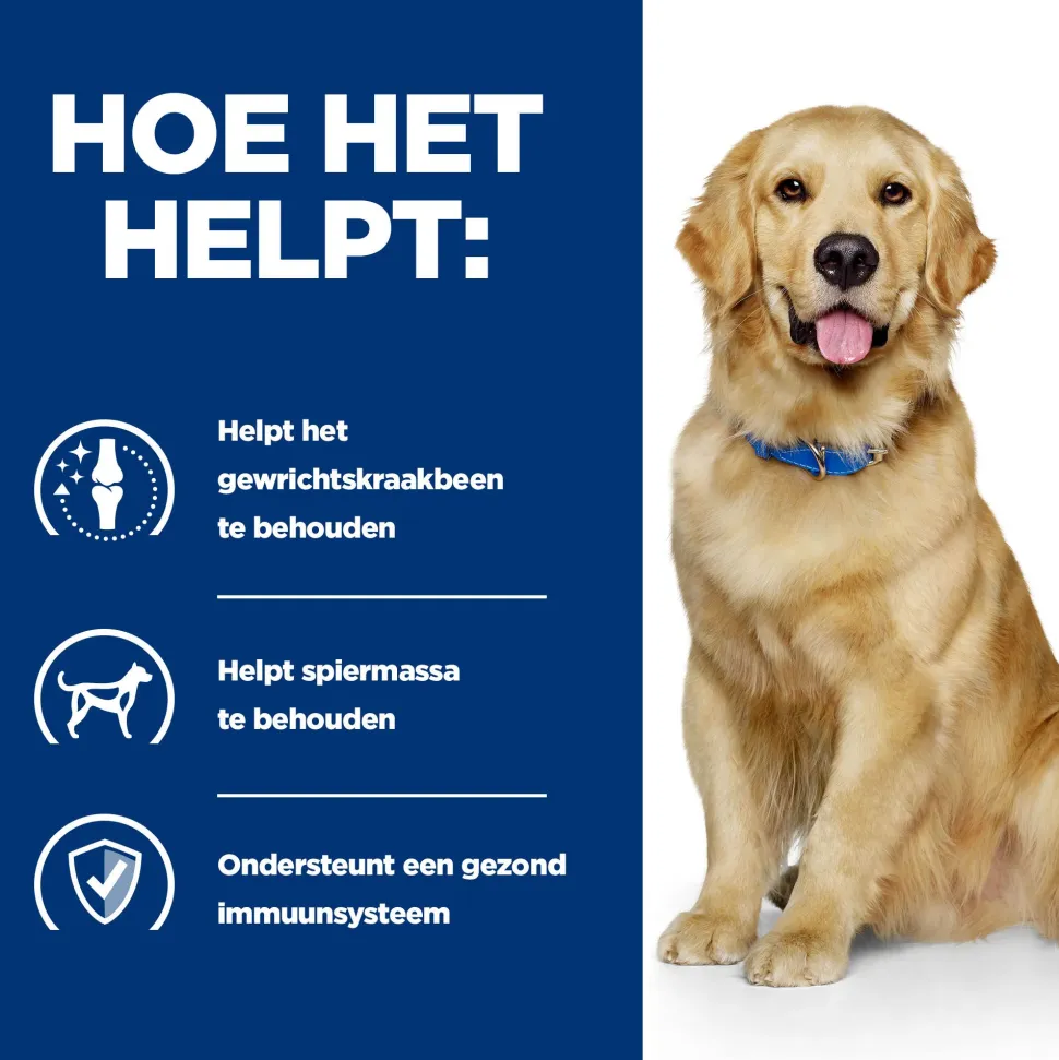 Hill's j/d Joint Care - Prescription Diet - Canine