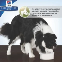 Hill's j/d Joint Care Reduced Calorie - Prescription Diet - Canine