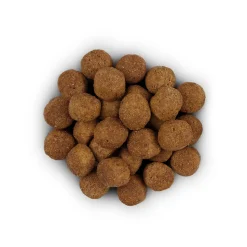 Hill's j/d Joint Care Reduced Calorie - Prescription Diet - Canine