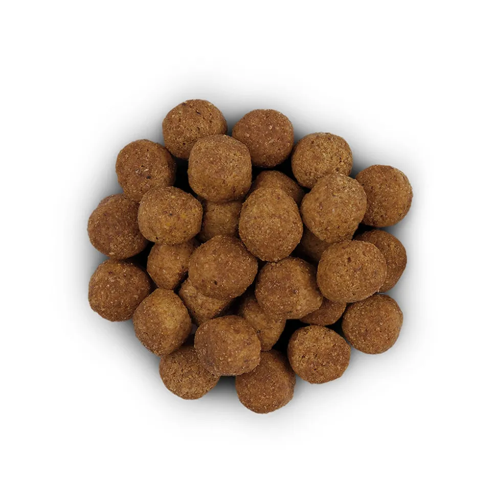 Hill's j/d Joint Care Reduced Calorie - Prescription Diet - Canine