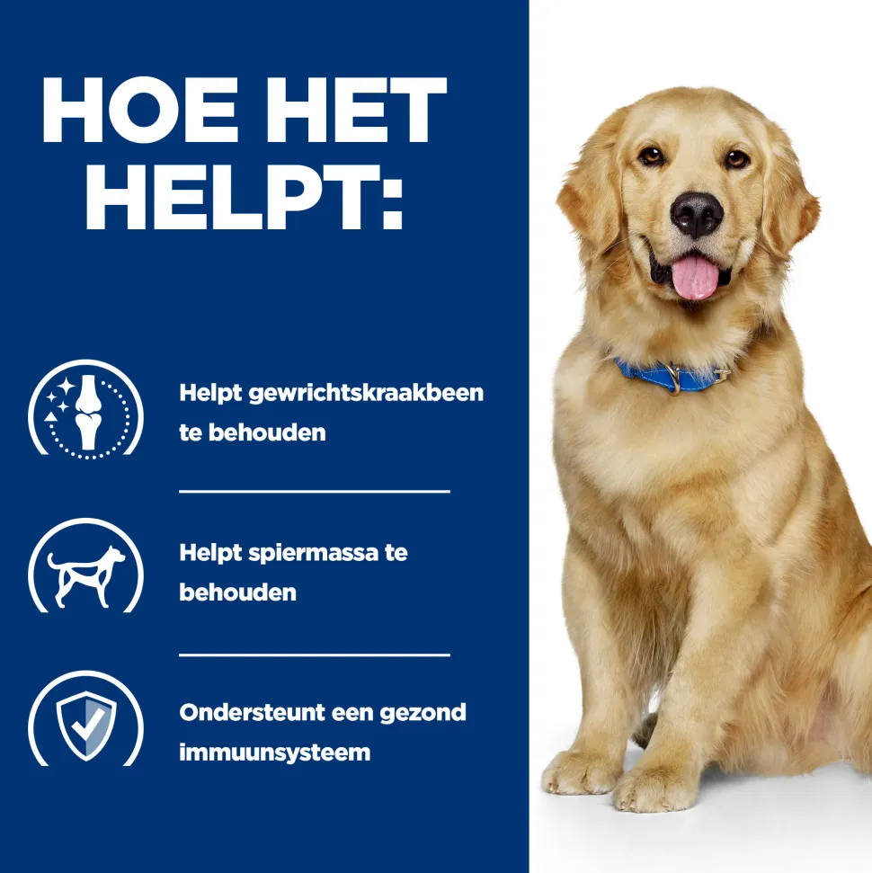 Hill's j/d Joint Care Reduced Calorie - Prescription Diet - Canine