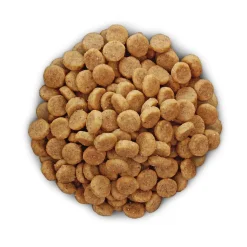 Hill's k/d Kidney Care - Prescription Diet - Canine