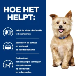 Hill's k/d Kidney Care - Prescription Diet - Canine
