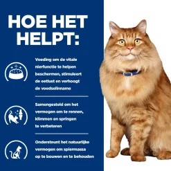 Hill's k/d + Mobility - Prescription Diet - Feline