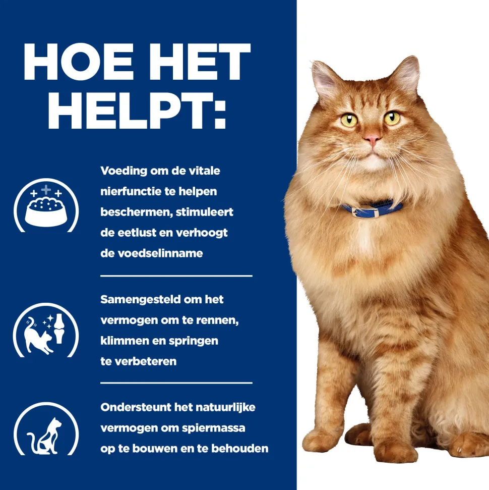 Hill's k/d + Mobility - Prescription Diet - Feline