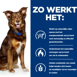 Hill's Prescription Diet Metabolic Weight Management - Canine - Lam & Rijst
