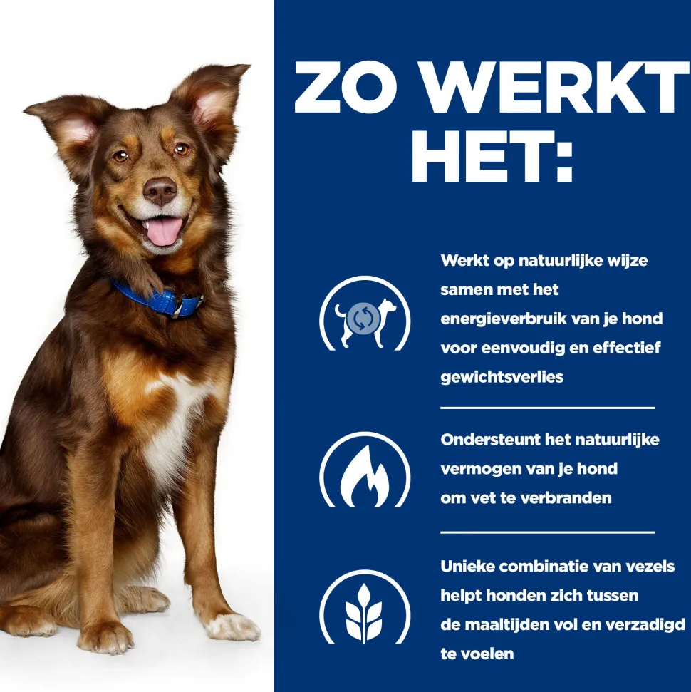 Hill's Prescription Diet Metabolic Weight Management - Canine - Lam & Rijst