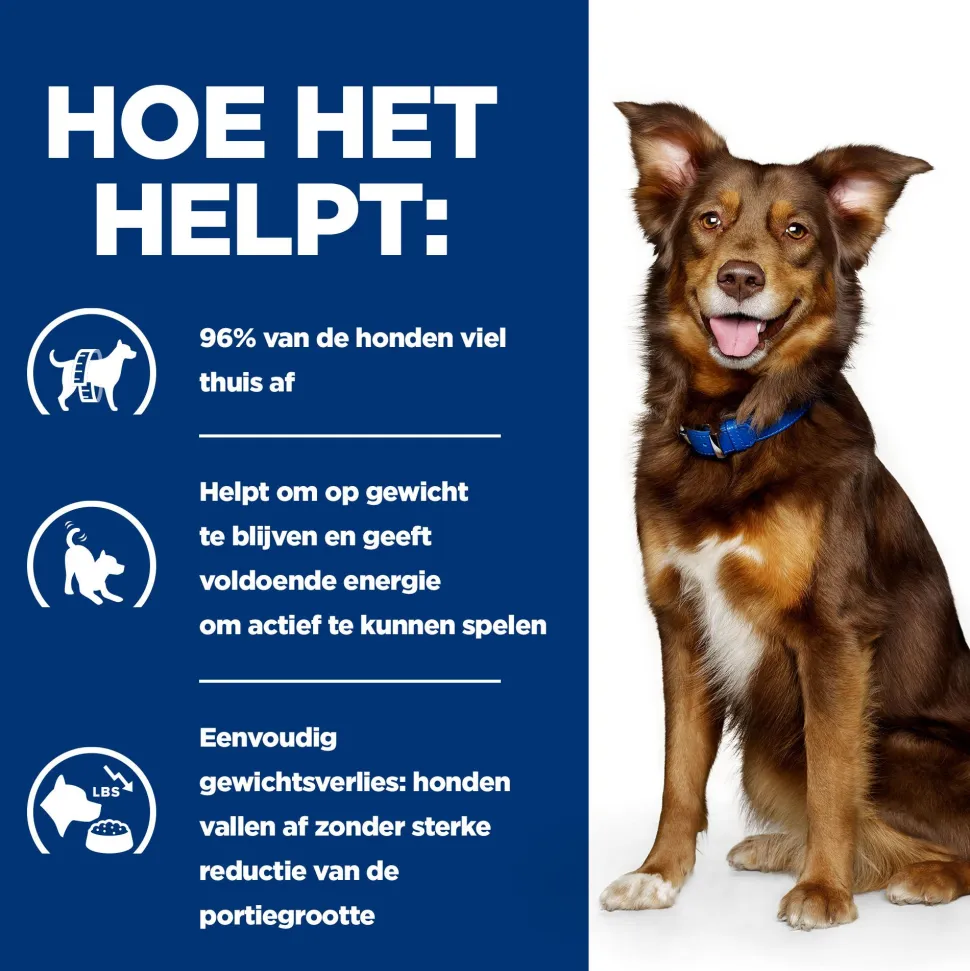 Hill's Prescription Diet Metabolic Weight Management - Canine - Lam & Rijst